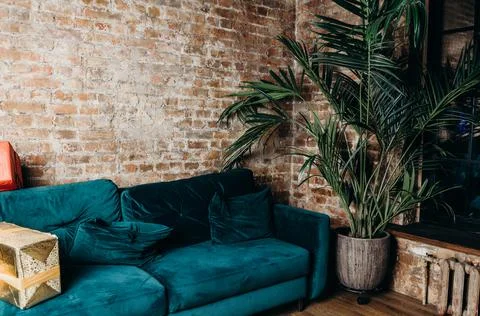 Loft brick red wall sofa aqua turquoise blue big huge flower in a pot. Interior Stock Photos