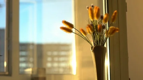 Loft urban cozy view from window in city sun shining flower in vase house Stock Footage 117250111