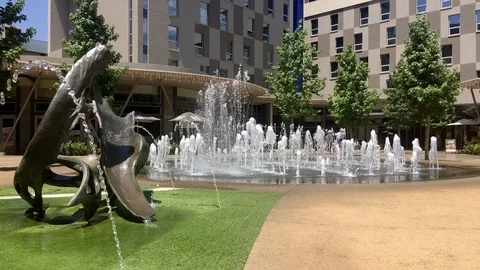 Loftus park in Pretoria Stock Footage 101618554