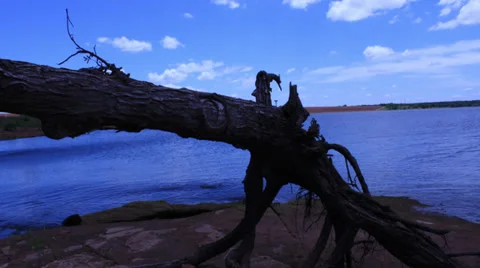 Log and Lake Stock Footage 32286081