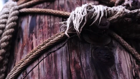 Log And Rope Stock Footage 147844120
