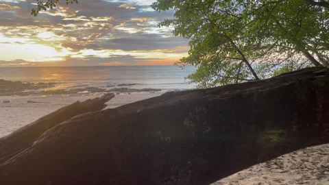 Log and Sunset HD Stock Footage 175420439