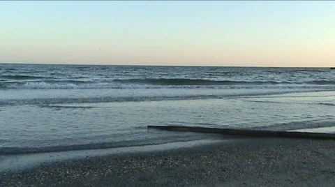 Log ashore 스톡 동영상 918105