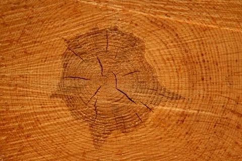 Log background Stock Photos