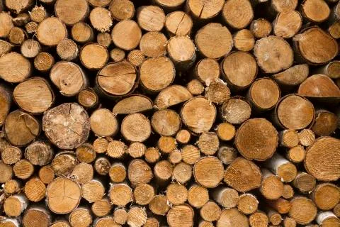 Log background Stock Photos