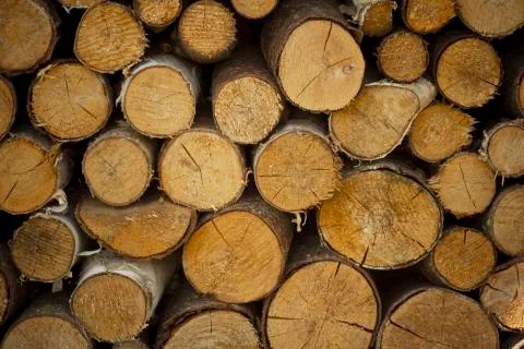 Log background Stock Photos