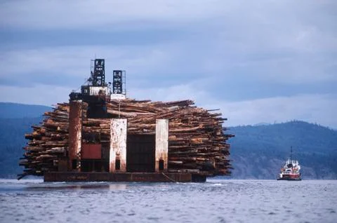 Log barge with load of logs, British Columbia, Canada. Stock Photos