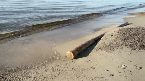 Log on the beach Stock Footage 10578197