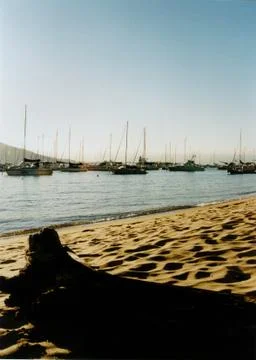 Log on the Beach Foto stock