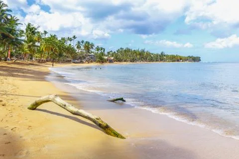 Log on the beach Stock Photos