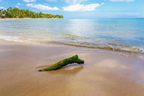 Log on the beach Stock Photos