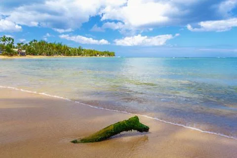 Log on the beach Stock Photos