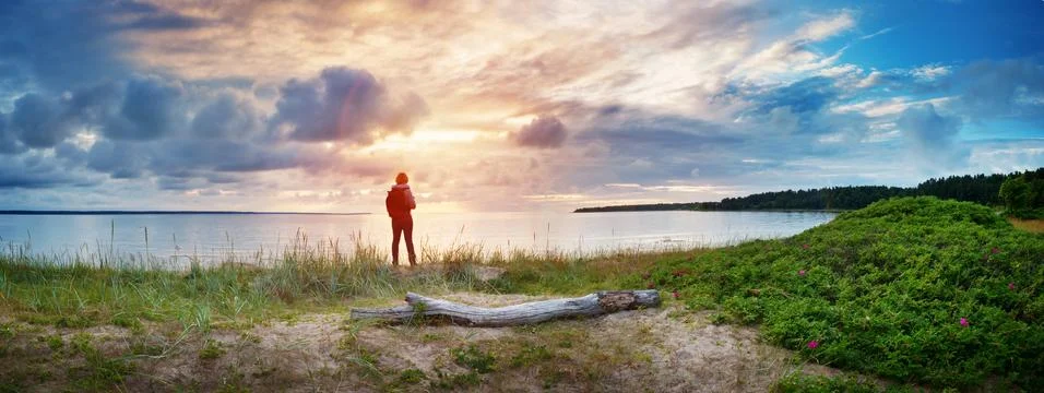 Log on the beach at sunset Stock Photos
