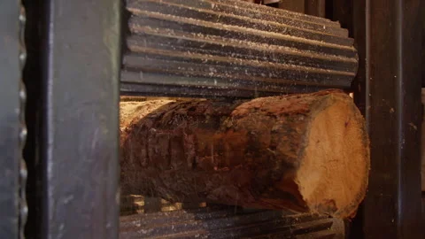 Log being processed in sawmill Stock Footage 270814853