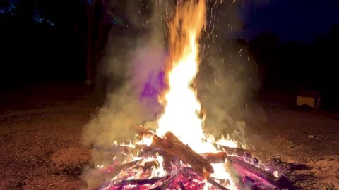 Log being thrown onto bonfire at night 스톡 동영상 343616495