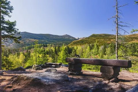 A log bench on the edge of a viewing platform in the forested mountains. Bl.. Stock Photos