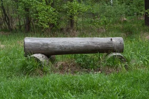 Log bench in forest clearing Foto stock