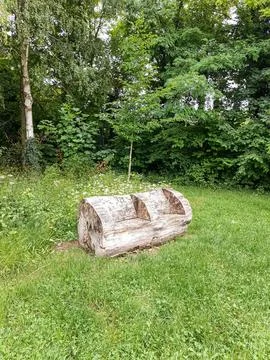 Log bench in forest clearing Foto stock