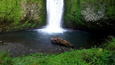 The log at the bottom of Multnomah Falls Stock Footage 99118171