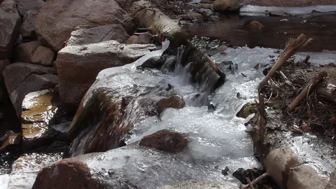 Log, branches, water and ice Vídeo Stock 73650693