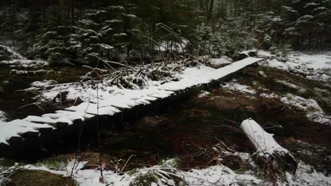 Log bridge covered in snow, situated in a winter forest Stock Footage 277677066