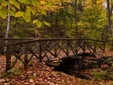 Log bridge in fall Stock Photos