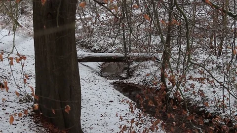 Log bridge over brook in the forest Stock Footage 85722402