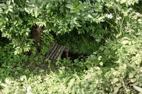 Log - a bridge over a forest river Stock Photos