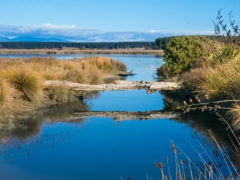 Log bridge Foto stock