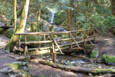 Log Bridge Stock Photos