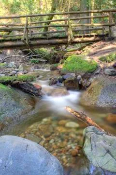 Log Bridge Stock Photos