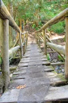 Log Bridge Stock Photos