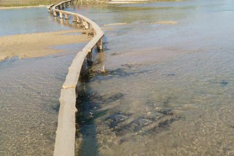 Log bridge on a stream Stock Photos
