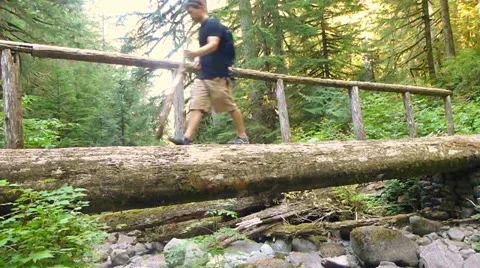 Log Bridge Wilderness Man Stock Footage 12027901