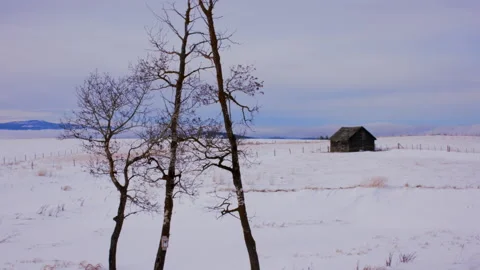 Log building in winter landscape, 4k Stock Footage 165514717