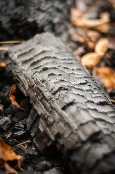 Log Burn Stock Photos