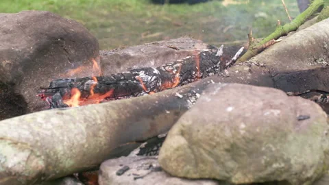 Log Burning outside 스톡 동영상 322918285