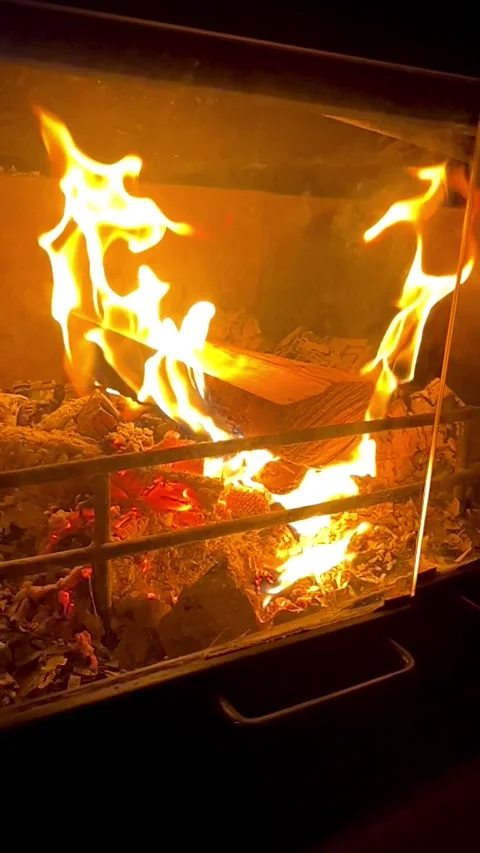 A log burns with fire in the fireplace.  Stock Footage 236925719