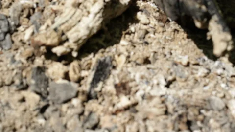 The log burns Stock Footage 90709318