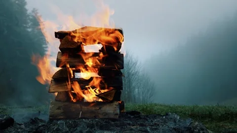 Log cabin campfire burning in misty forest valley at dawn Stock Footage 328983859