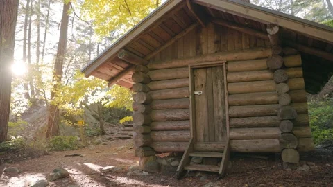 Log cabin in a forest in the fall, autumn leaves, fall leaf, forest path, rustic Видео 220598566