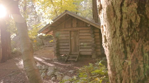 Log cabin in a forest in the fall, autumn leaves, fall leaf, forest path, rustic Stock Footage 220602158