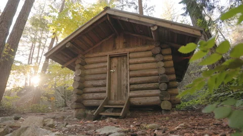 Log cabin in a forest in the fall, autumn leaves, fall leaf, forest path, rustic Stock Footage 220602512