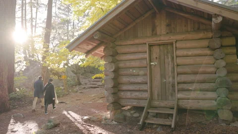 Log cabin in a forest in the fall with happy couple walking, autumn leaves, fall Stock Footage 220602314