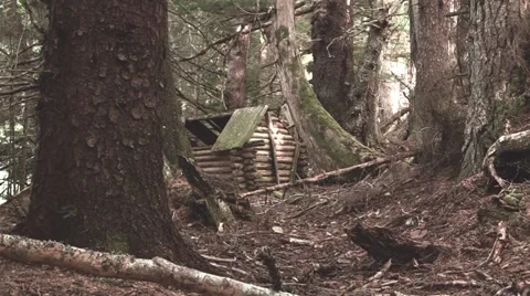 Log cabin ,forested Stock Footage 28693423