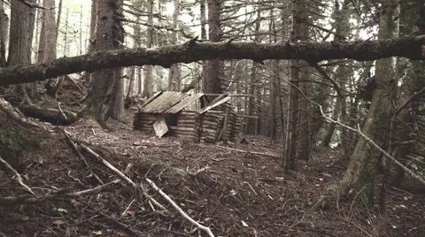 Log cabin ruins Stock Footage 28693242