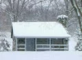 Log Cabin in Snow SD Footage