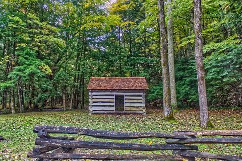 Log Cabin in Solitude, Dense Forest Stock Photos