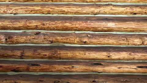Log Cabin texture Stock Footage 156939993