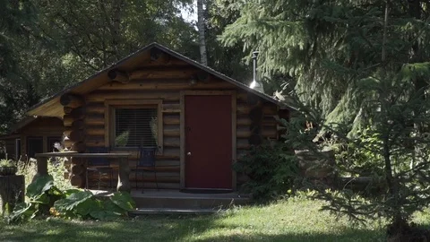 Log Cabin (Tilt Down) Stock Footage